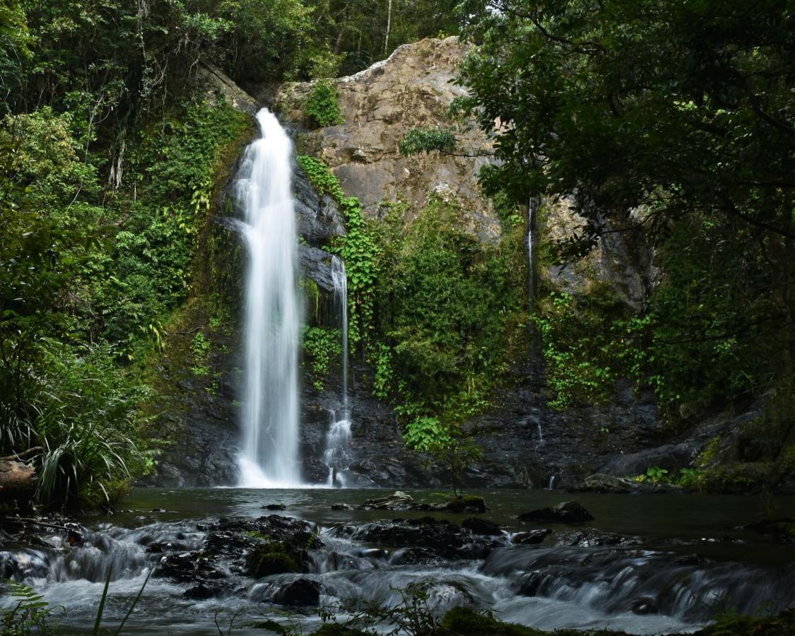 Cassowary Falls Gateway Daintree Ngoại thất bức ảnh